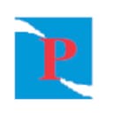 Premier IT Solutions logo